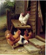 unknow artist Cocks 123 oil on canvas